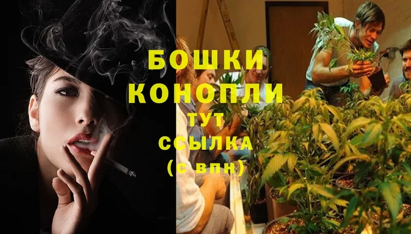 купить   Великие Луки  Марихуана THC 21% 